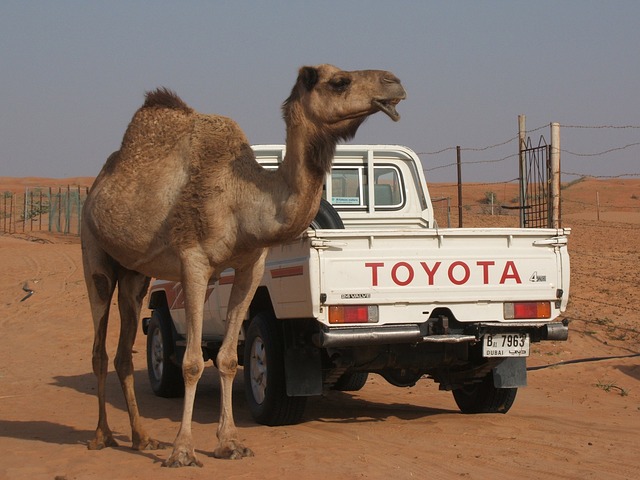 Cars_that_hold_their_value_-_Toyota_Hilux.jpg